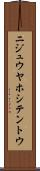 ニジュウヤホシテントウ Scroll