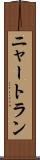 ニャートラン Scroll