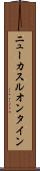 ニューカスルオンタイン Scroll