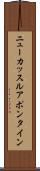 ニューカッスルアポンタイン Scroll