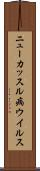 ニューカッスル病ウイルス Scroll