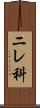 ニレ科 Scroll