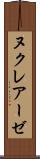 ヌクレアーゼ Scroll