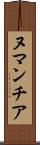 ヌマンチア Scroll