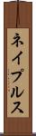 ネイプルス Scroll