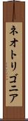 ネオトリゴニア Scroll