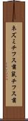 ネズミチフス菌 Scroll