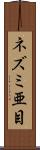 ネズミ亜目 Scroll