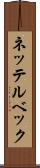 ネッテルベック Scroll
