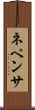 ネペンサ Scroll