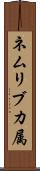 ネムリブカ属 Scroll