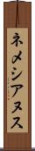 ネメシアヌス Scroll