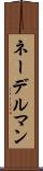 ネーデルマン Scroll