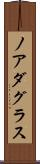 Noah Douglas Scroll