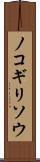 ノコギリソウ Scroll