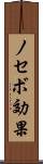 ノセボ効果 Scroll