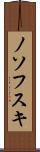 ノソフスキ Scroll