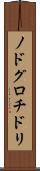 ノドグロチドリ Scroll
