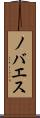 ノバエス Scroll