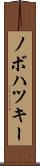 ノボハツキー Scroll