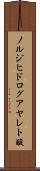 ノルジヒドログアヤレト酸 Scroll