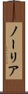 ノーリア Scroll