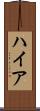 ハイア Scroll
