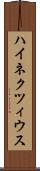 ハイネクツィウス Scroll