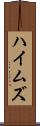 ハイムズ Scroll