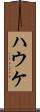 ハウケ Scroll