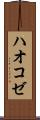 ハオコゼ Scroll