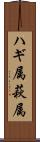 ハギ属 Scroll