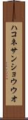ハコネサンショウウオ Scroll