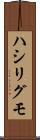 ハシリグモ Scroll