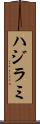 ハジラミ Scroll