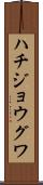 ハチジョウグワ Scroll