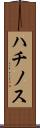 ハチノス Scroll