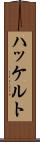 ハッケルト Scroll