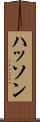 ハッソン Scroll