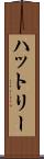 Hatley Scroll