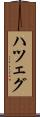 ハツェグ Scroll