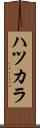 ハツカラ Scroll