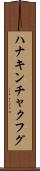 ハナキンチャクフグ Scroll