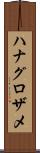 ハナグロザメ Scroll
