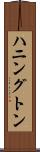 ハニングトン Scroll