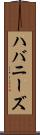 ハバニーズ Scroll