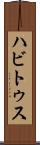 ハビトゥス Scroll