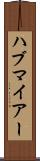 ハブマイアー Scroll