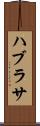 ハブラサ Scroll