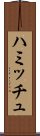 ハミッチュ Scroll